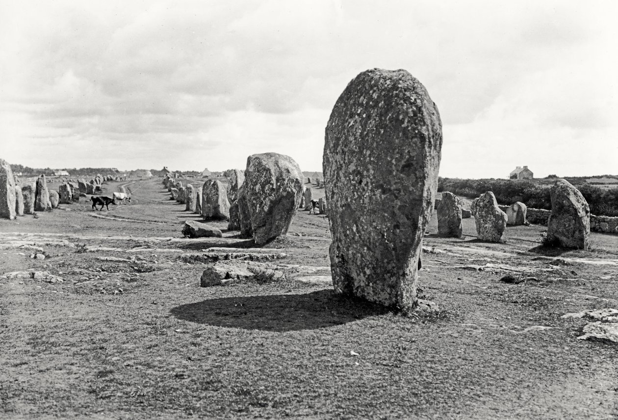 Alignment of Standing Stones, Megalithic, 4th-3rd Millennium BC by Prehistoric