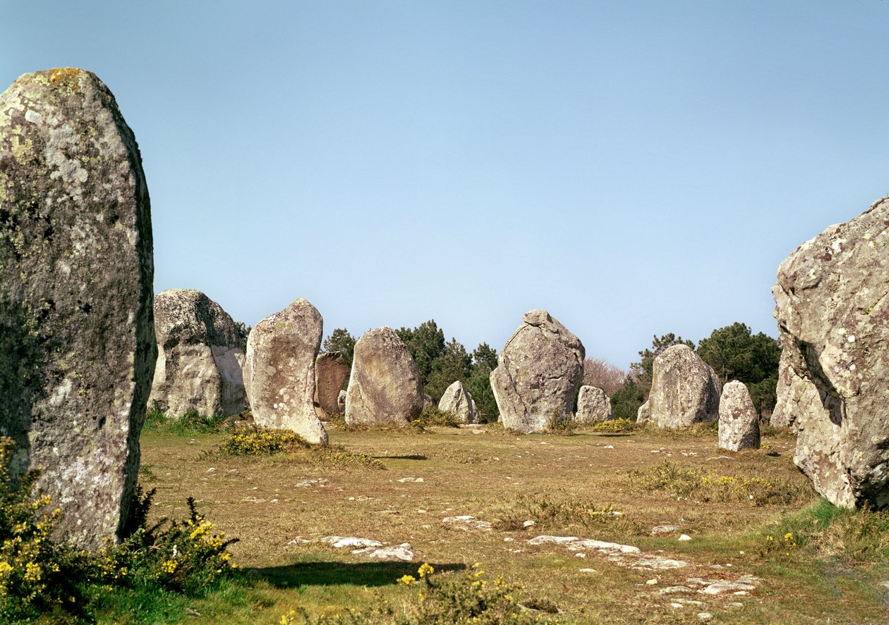 Alignment of standing stones, Megalithic Period, 4th-3rd millennium BC by Prehistoric