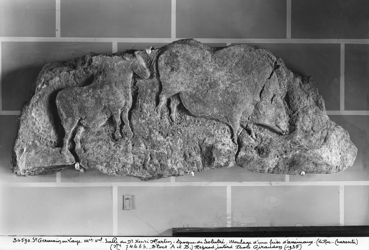 Cast of a Frieze of Animals from Le Roc de Sers, Charente, Solutrean Period, 20000-15000 BC by Prehistoric