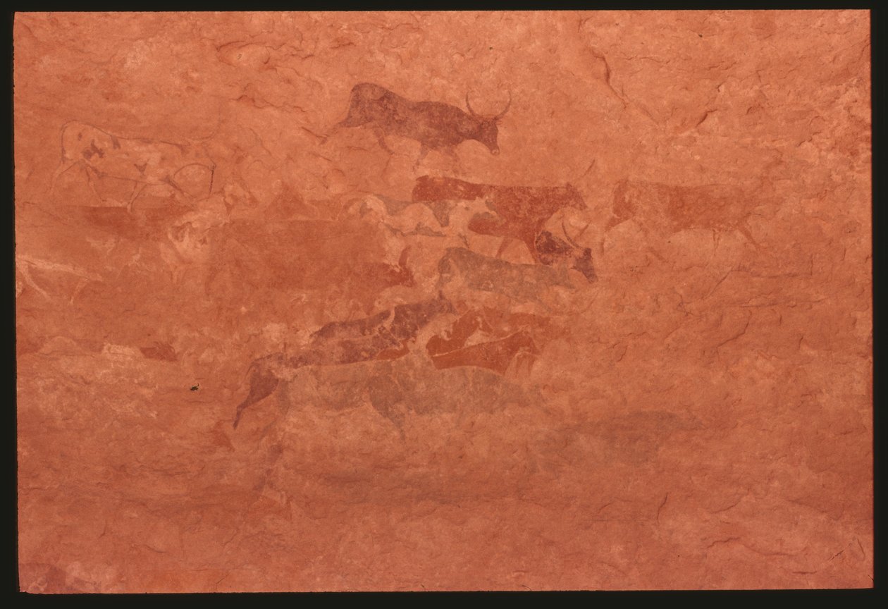 Cows by Prehistoric