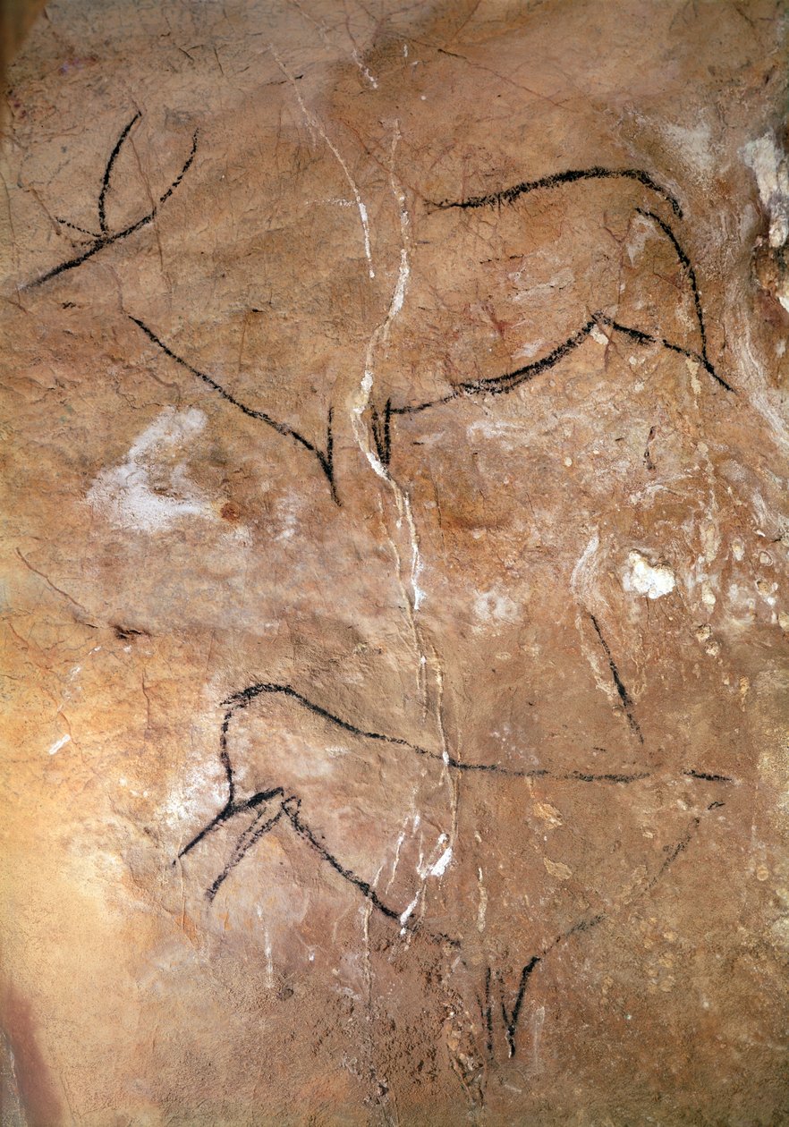 Two Stags, from the Caves of Altamira, c.15000 BC by Prehistoric