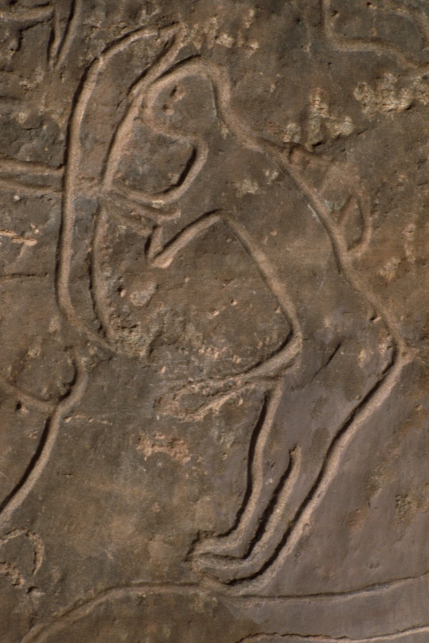 Human Figure and Bull