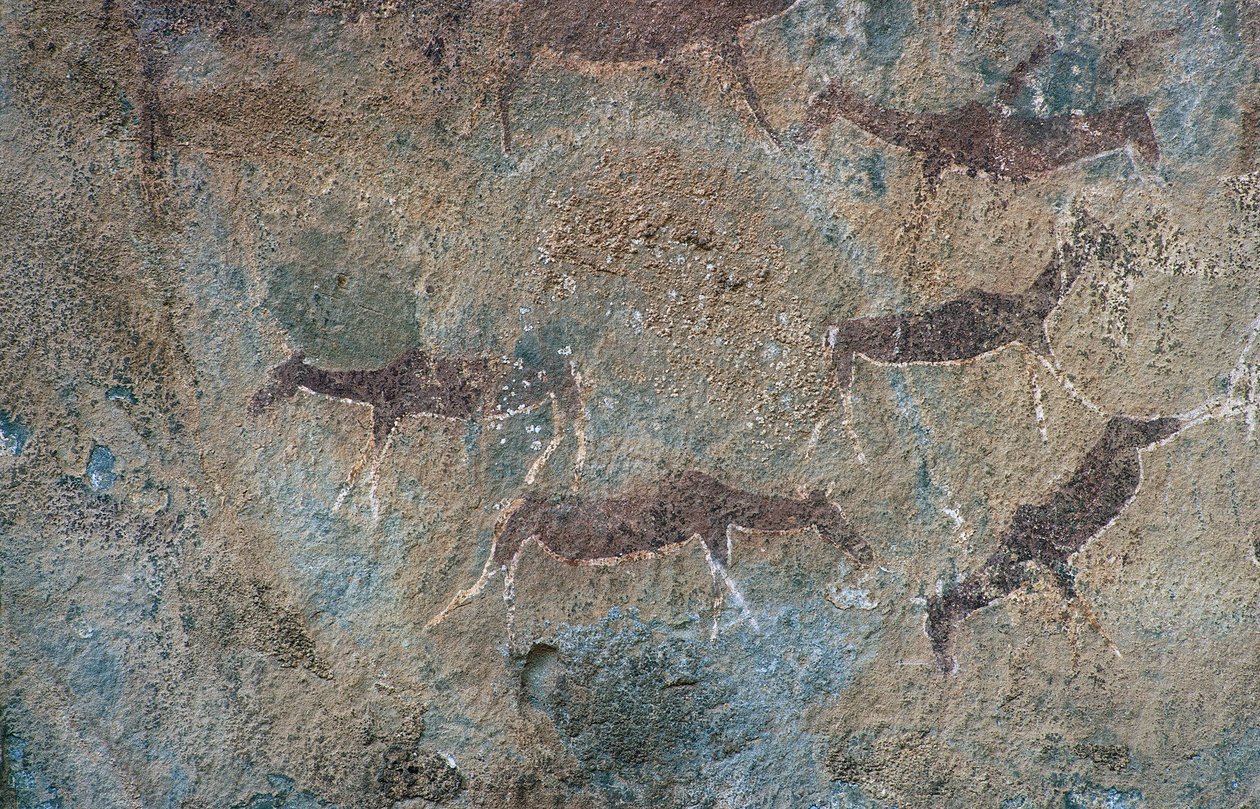 Animal Figures (Cave Painting) by Prehistoric Prehistoric