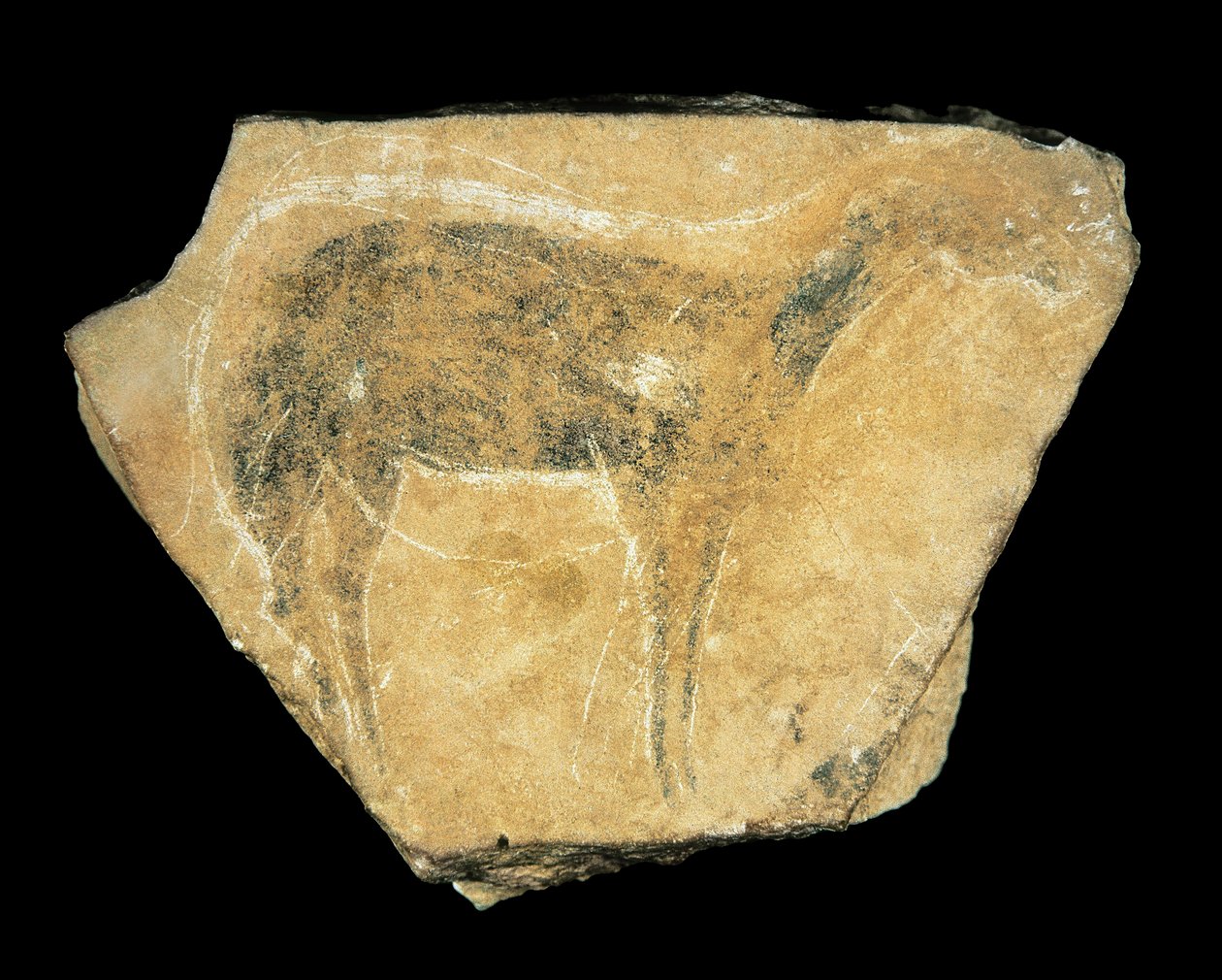 Black Doe, Parpallo Cave, Spain, Upper Paleolithic by Prehistoric Prehistoric