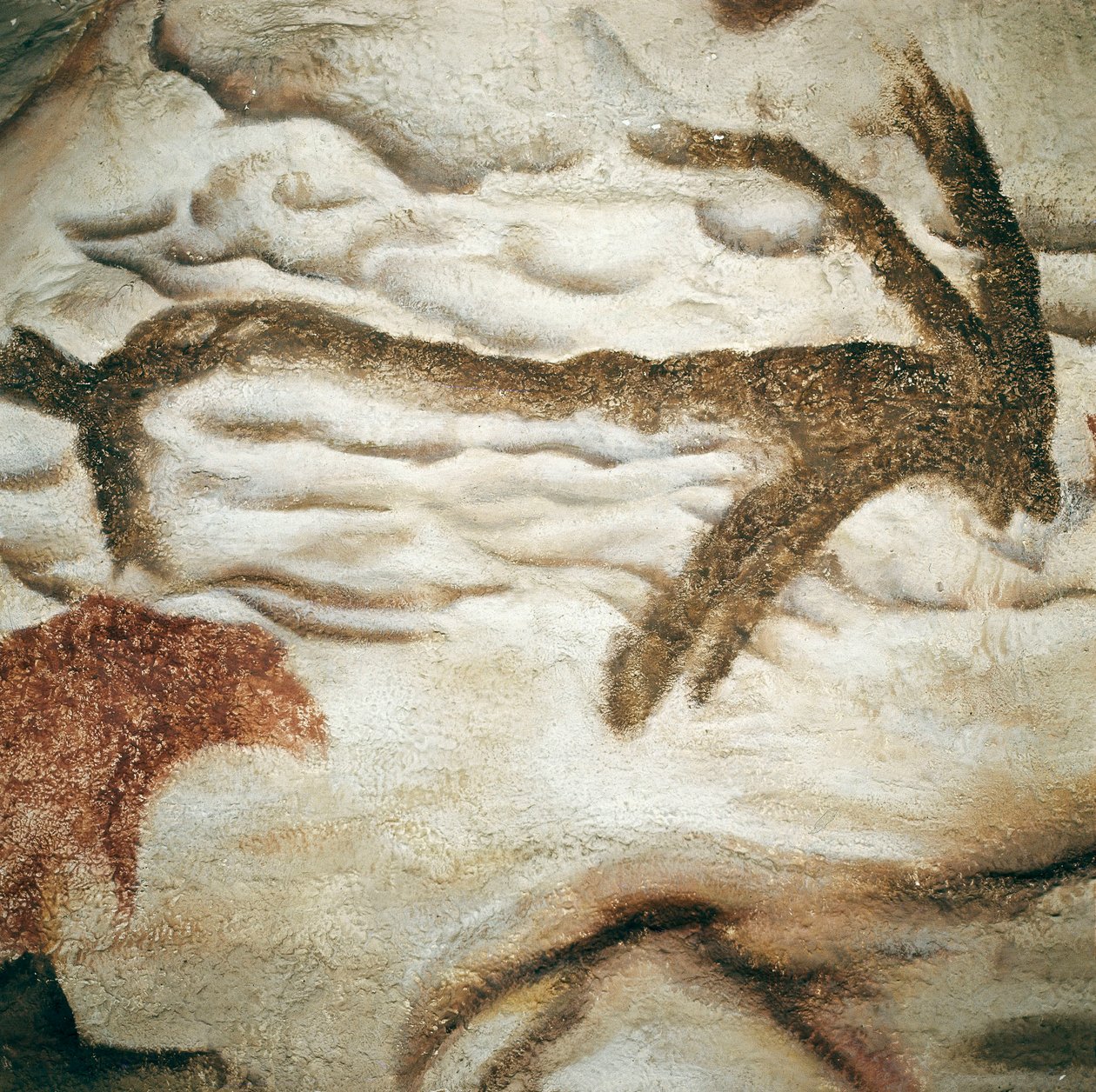 Cervid Rock Painting, Cave de Lascaux, Dordogne, France, Upper Paleolithic (Magdalenian) c. 13000 Years Ago by Prehistoric Prehistoric