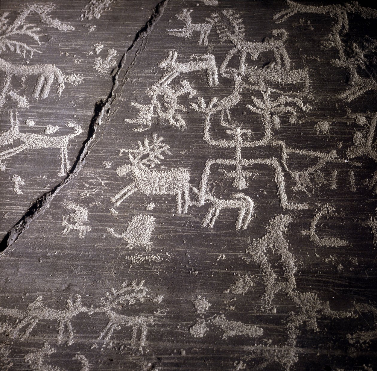 Civilization of the Camunni, Prehistory, rock art: grave rock, details of the great rock of Naquane, in Valcamonica. Museo archeologico de Milan by Prehistoric Prehistoric