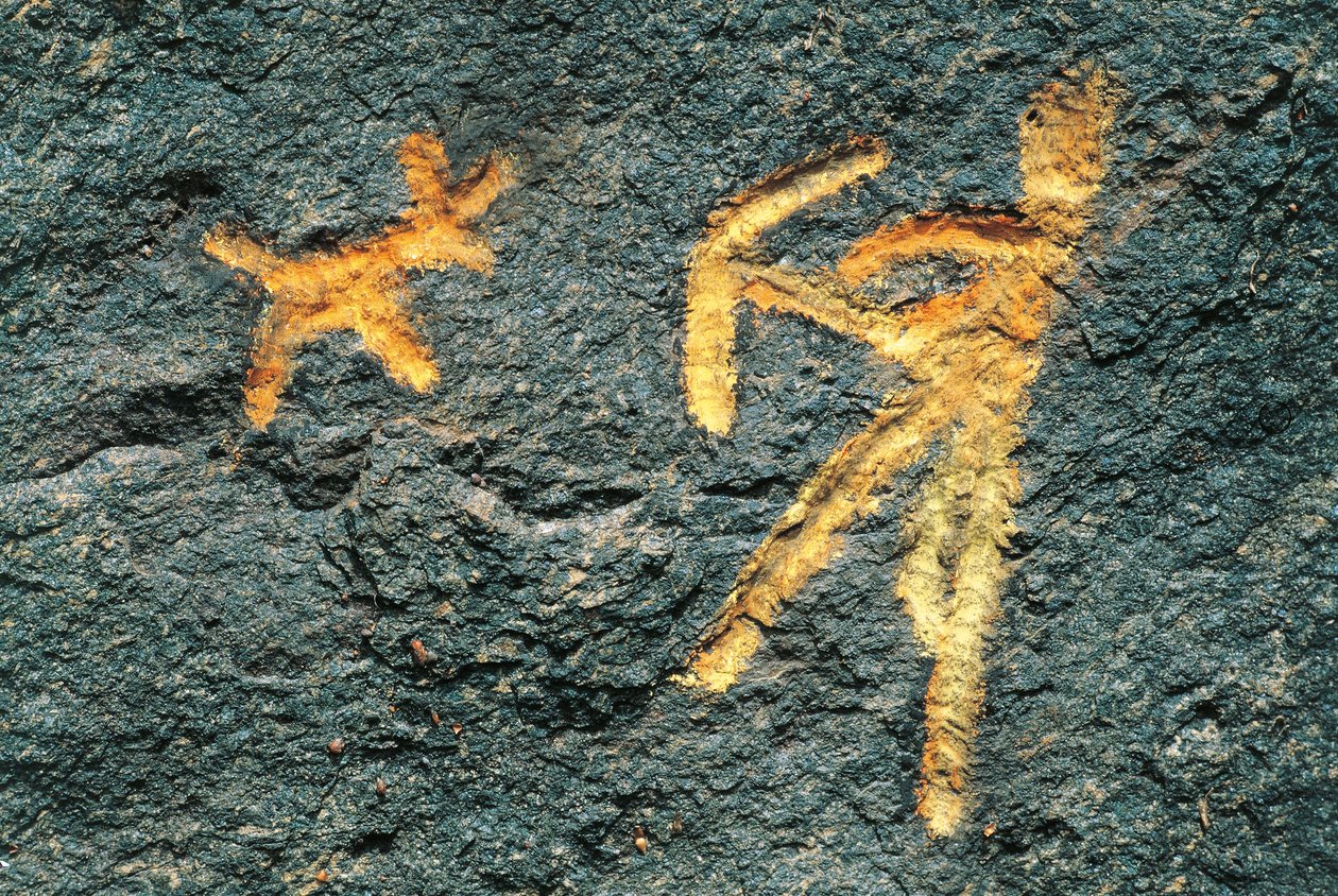 Mount Musine rock carvings, Italy by Prehistoric Prehistoric