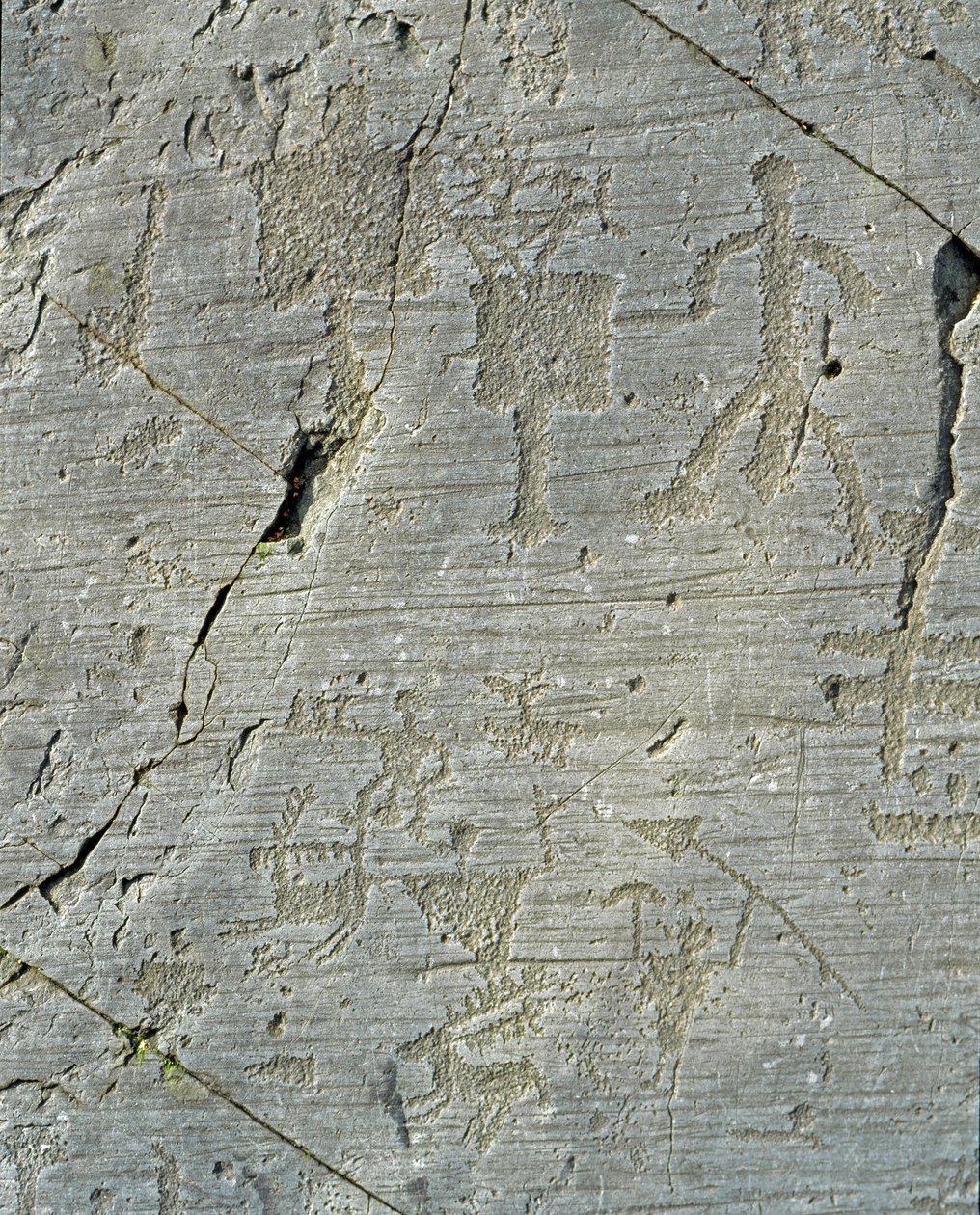 Rock Art: Deer Hunting Scenes and Everyday Life in a Village by Prehistoric Prehistoric
