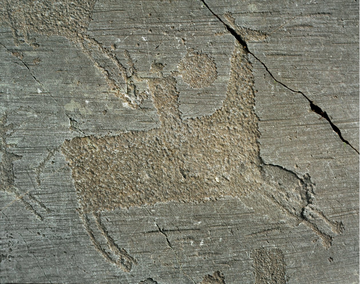 Prehistory, Camunni civilization, rock art: grave rock depicting a warrior on horseback with a shield. Period between the Neolithic and the Bronze Age. Capo di Ponte, Parco nazionale delle incisioni rupestri di Naquane, Valcamonica, Italy by Prehistoric Prehistoric