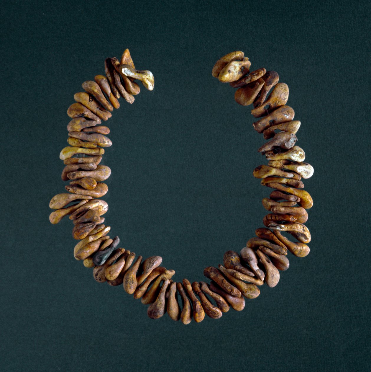 Prehistory, Stone Age: Necklace of Bones from the Cave of Polesine by Prehistoric Prehistoric