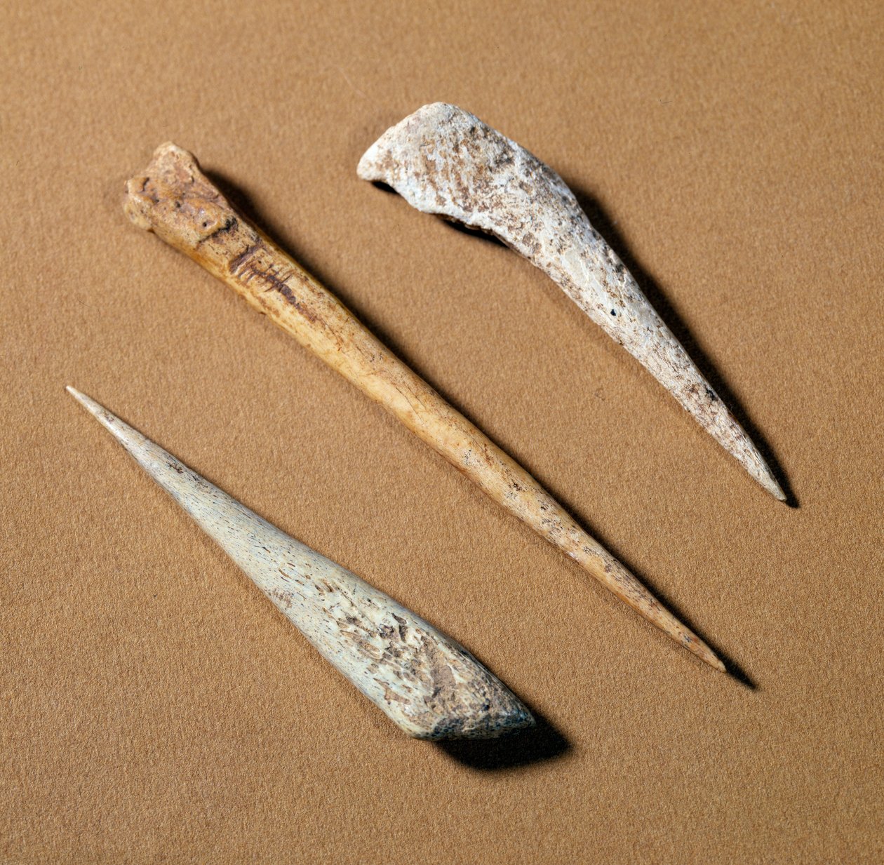 Prehistory: bone perch dating from the Paleolithic by Prehistoric Prehistoric