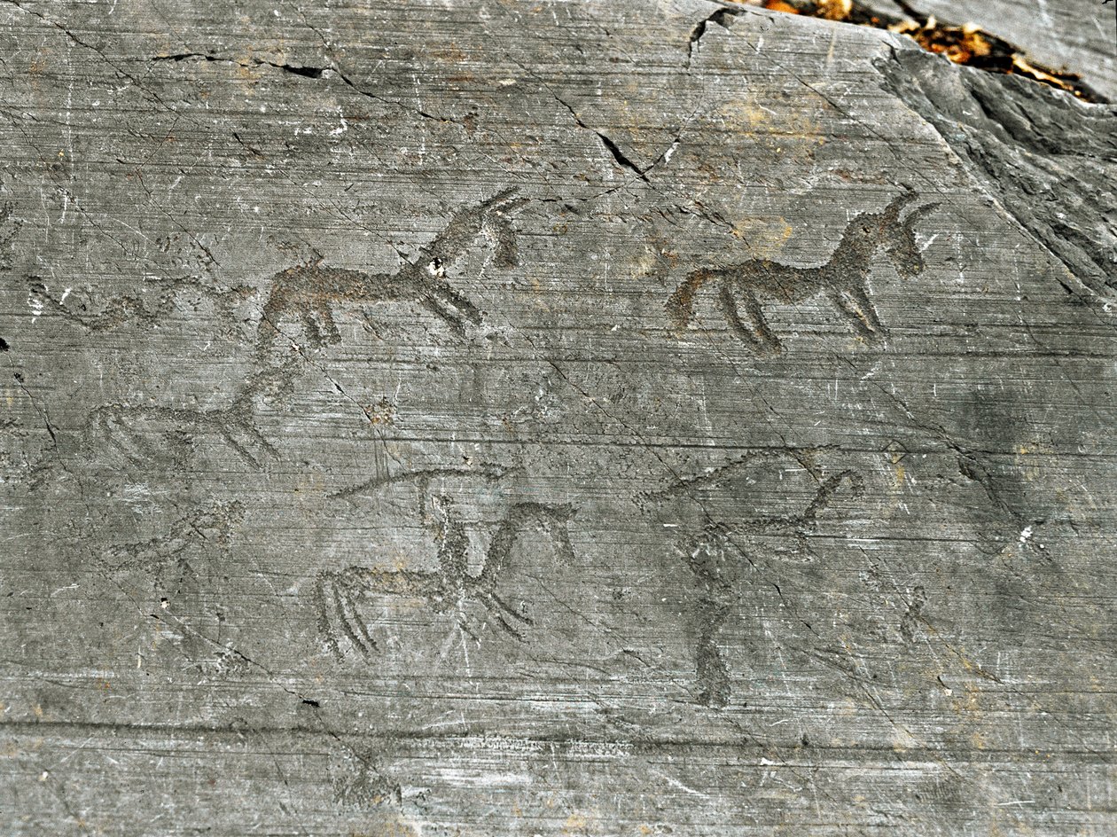 Prehistory, Civilization of the Camunni, Rock Art: Grave Rock of a Hunting Scene by Prehistoric Prehistoric
