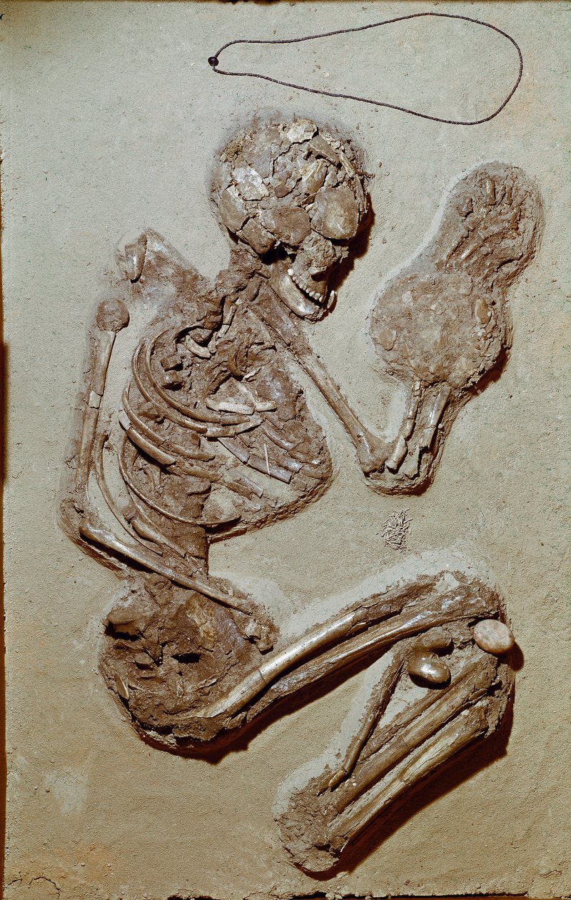 Prehistory: Female Skeleton from the Upper Neolithic by Prehistoric Prehistoric