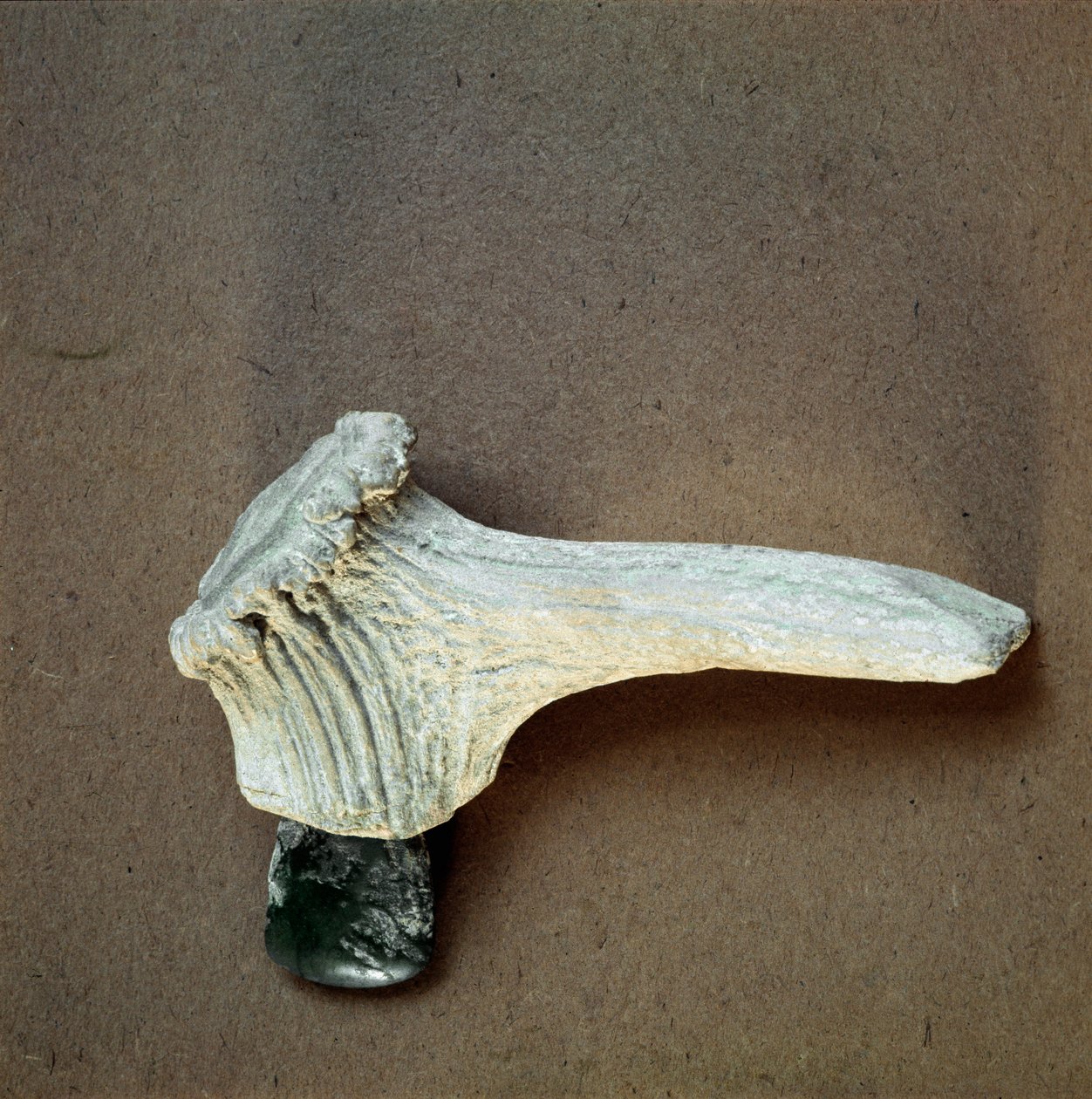 Green stone hatchet with deer horn handle from the cave of Pollera, Liguria. Middle Neolithic, Stone Age. Museo di archeologia Ligure, Genoa by Prehistoric Prehistoric