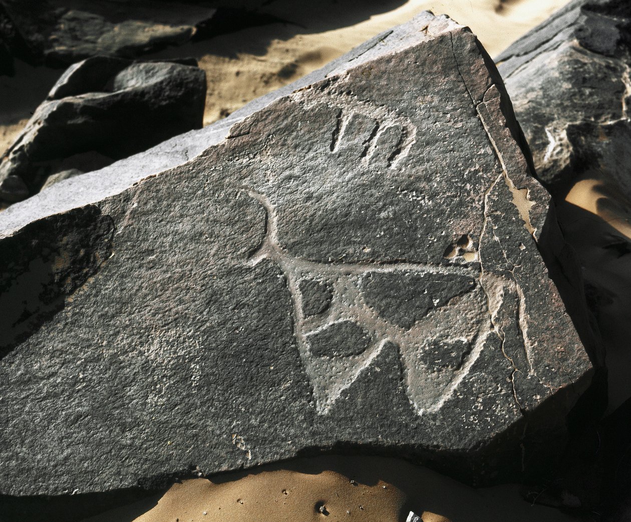 Rock Art: Representation of a Cattle by Prehistoric Prehistoric