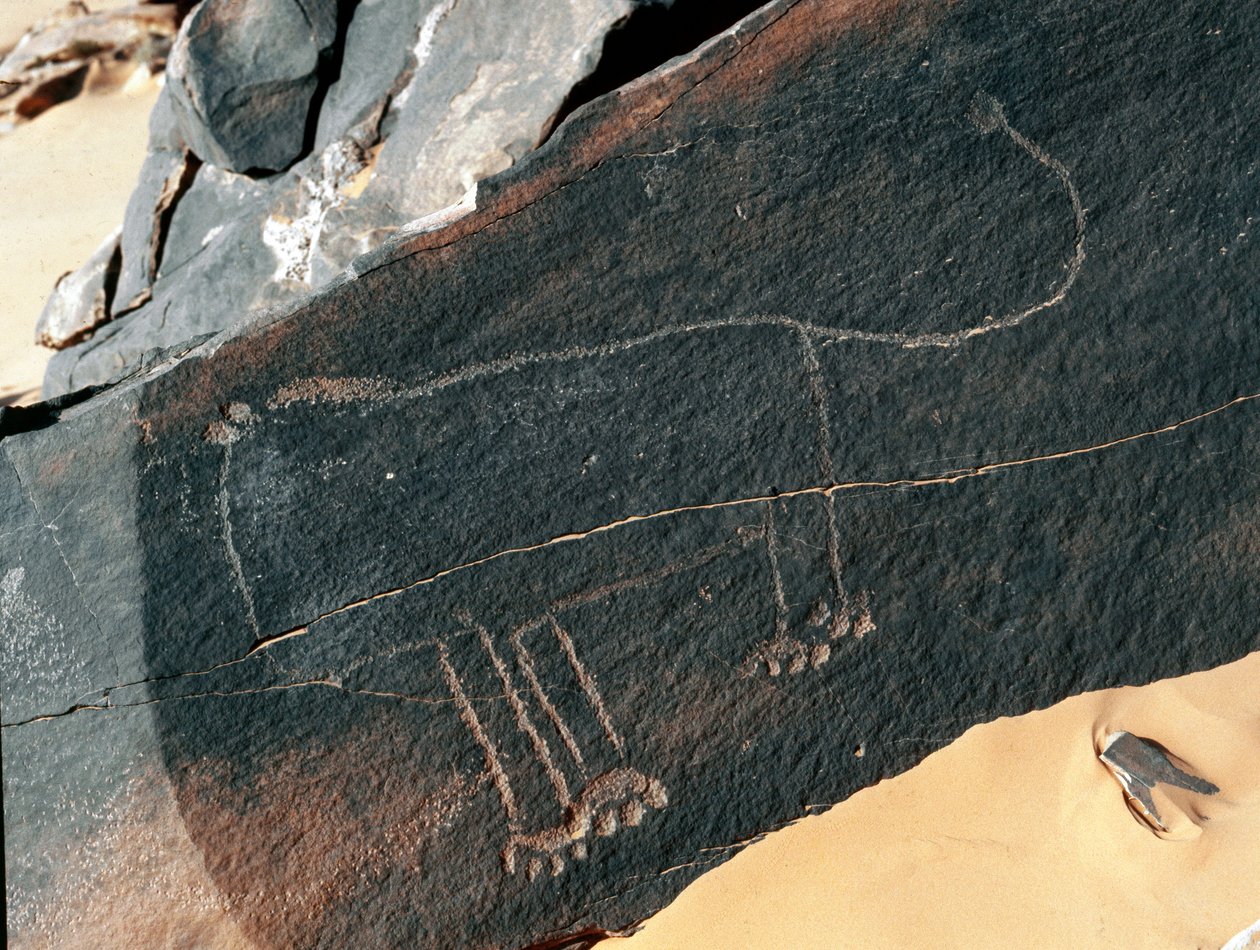 Prehistory, Rock Art: Grave Rock of the Representation of a Lion by Prehistoric Prehistoric