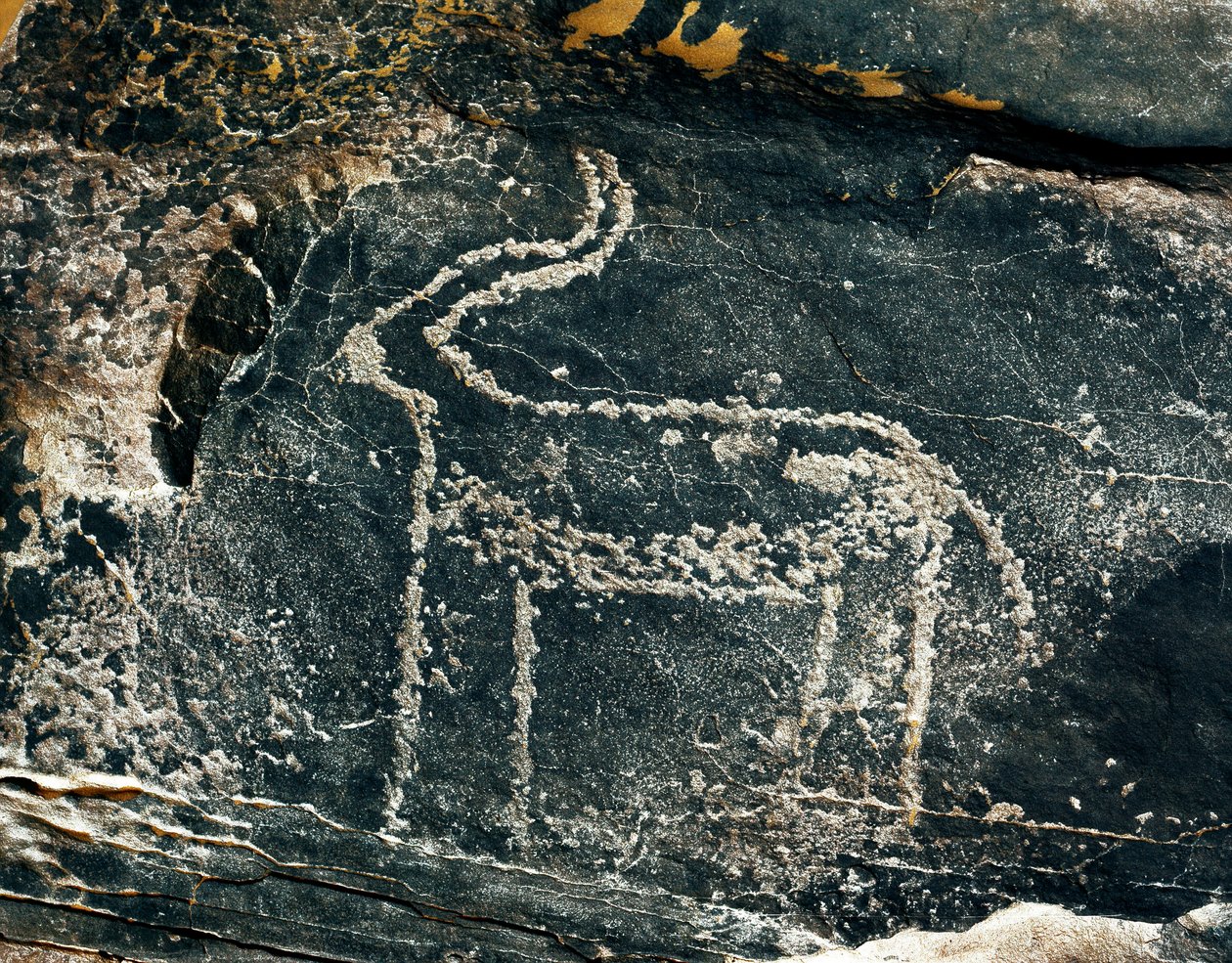 Prehistory, Rock Art: Grave Rock of the Representation of an Antelope by Prehistoric Prehistoric