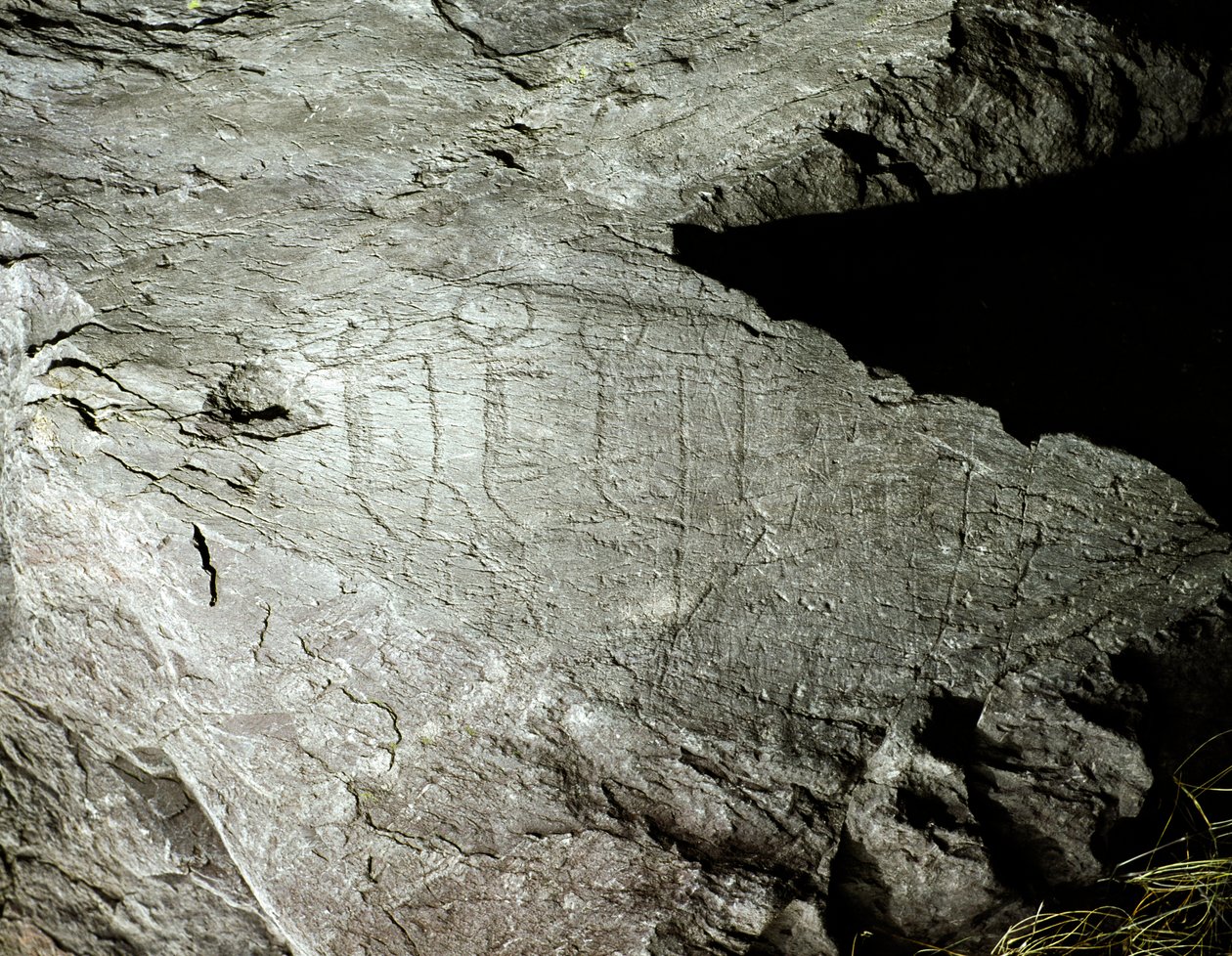 Rock Art: Representations of Two Pairs of Oxen Pulling a Cart by Prehistoric Prehistoric
