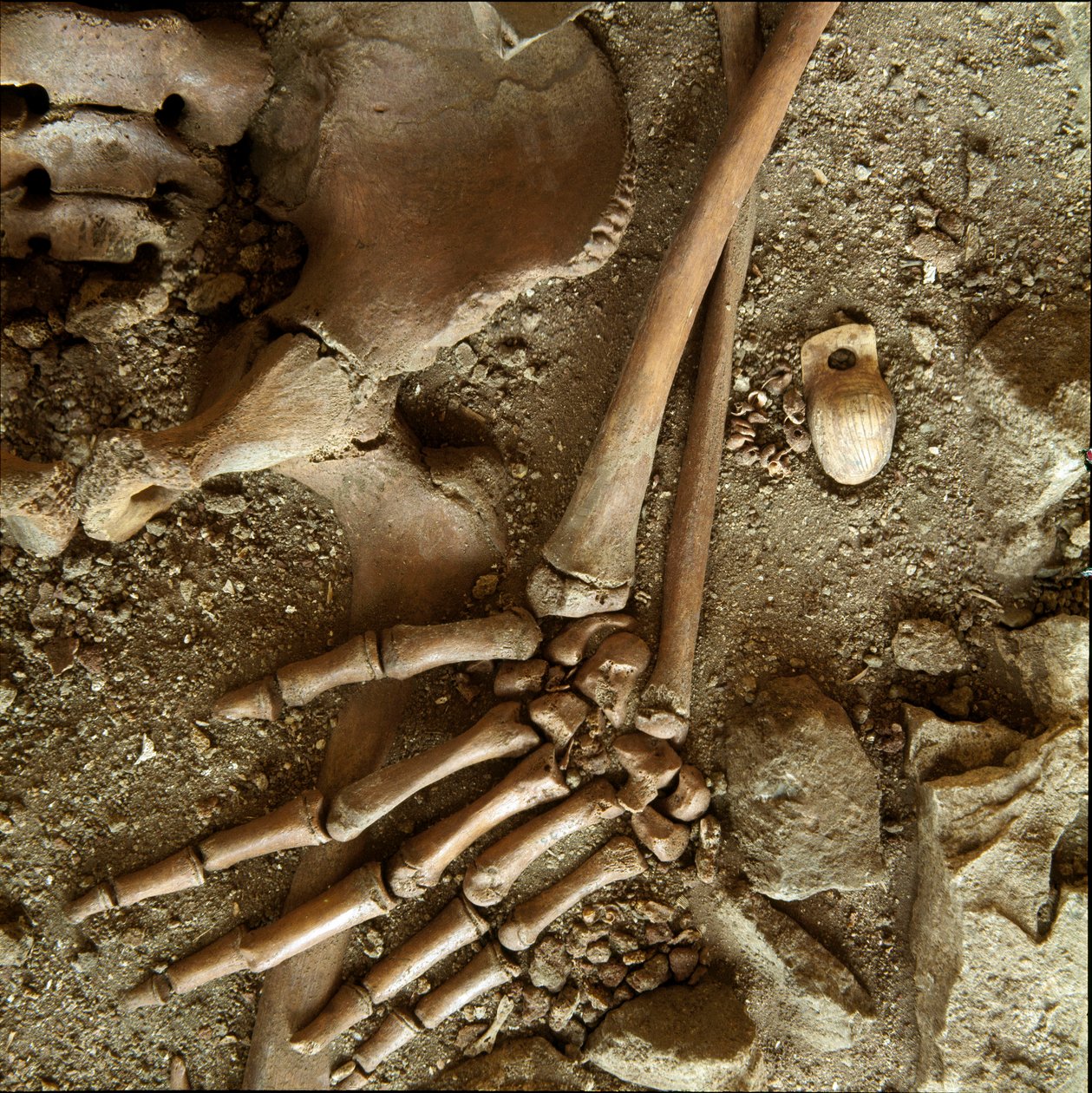 Prehistory: Teenage Sepulture (Detail) by Prehistoric Prehistoric