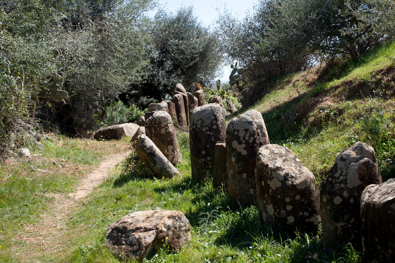 The archeological site of Cromlech M Zora, in Sidi El Yamani (Morocco). Neolithic burial mound (2000 BC), surrounded by 167 monoliths by Prehistoric Prehistoric
