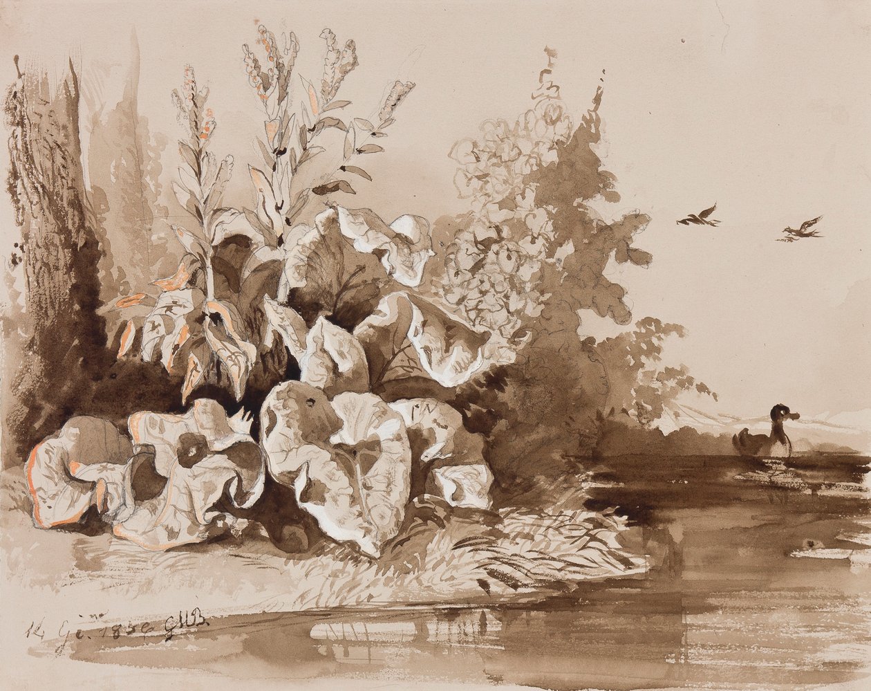 Study of plants by a stream with ducks, with additions by an instructor, 1856 by Prince Gaetano Maria Federico di Borbone