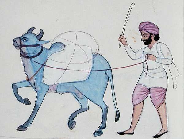 Washerman (Dhobi) c.1890 by Punjabi School