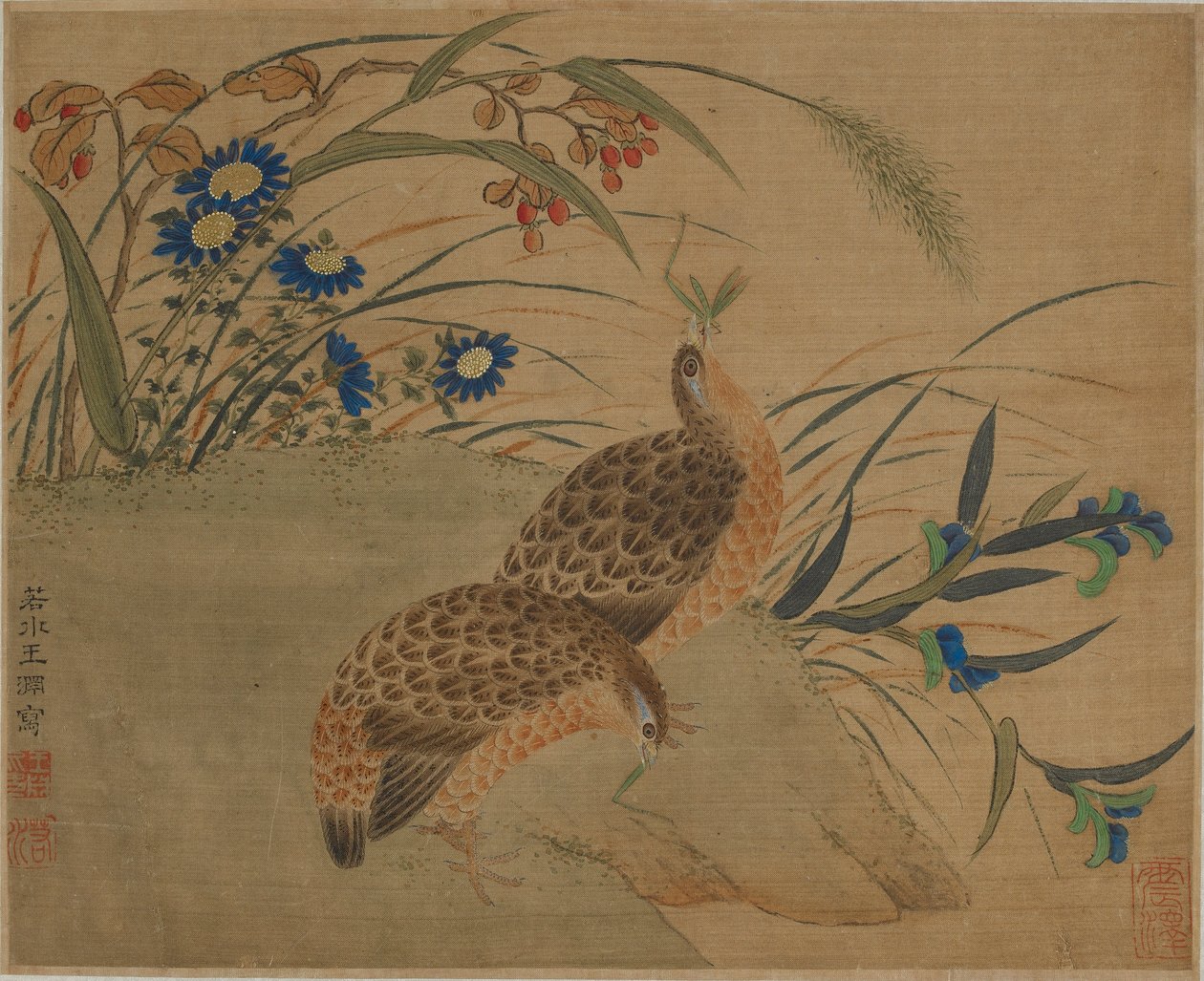 Two quail eating grasshoppers under flowers by Qing Dynasty Chinese School