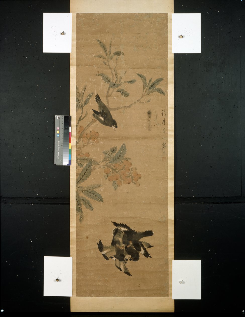 Birds and Branch by Qing Dynasty Chinese School