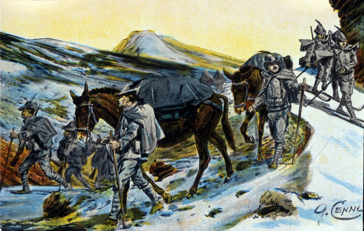First World War: group of Italian Alpine hunters in recognition with their mules in 1915 by Quinto Cenni