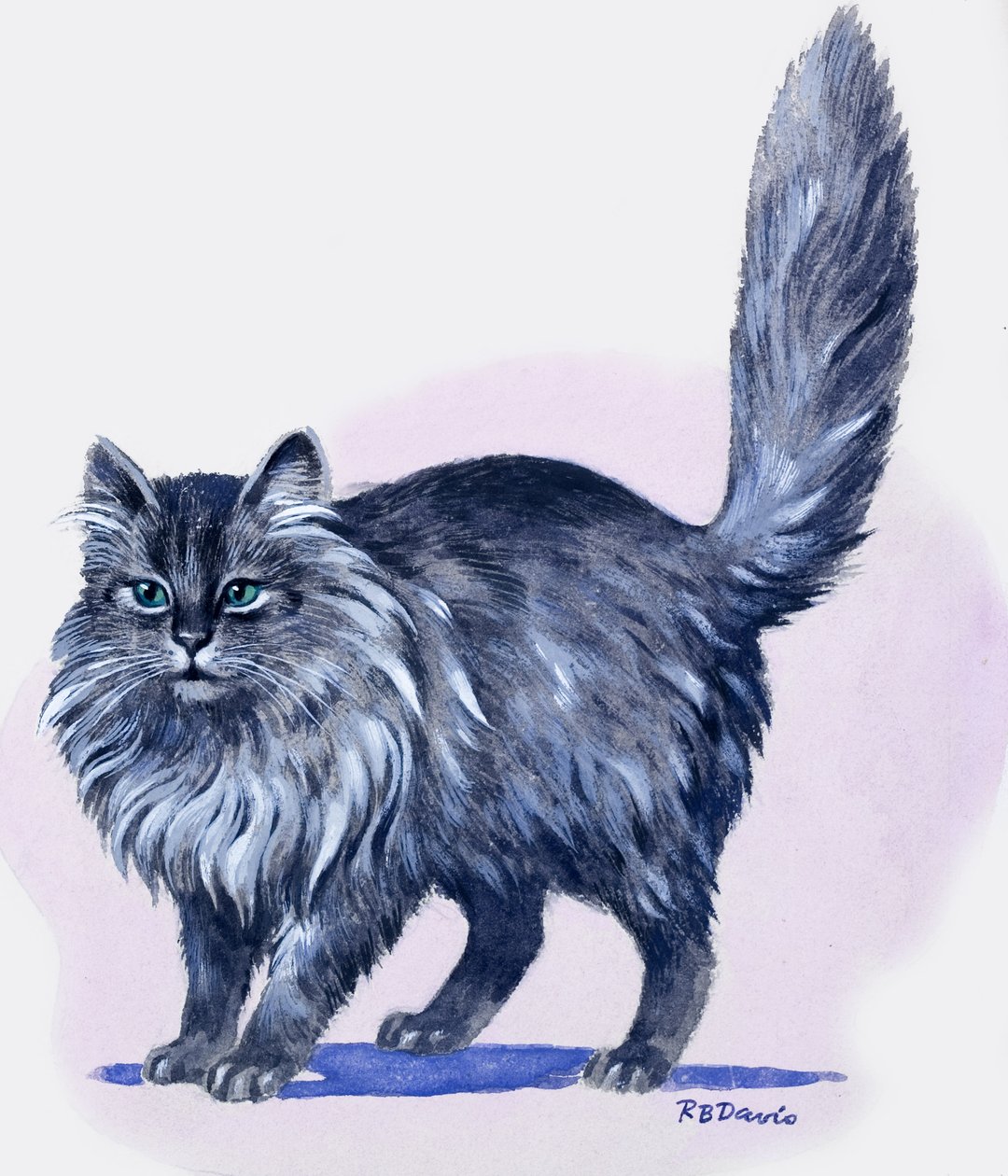 Persian Cat, from 
