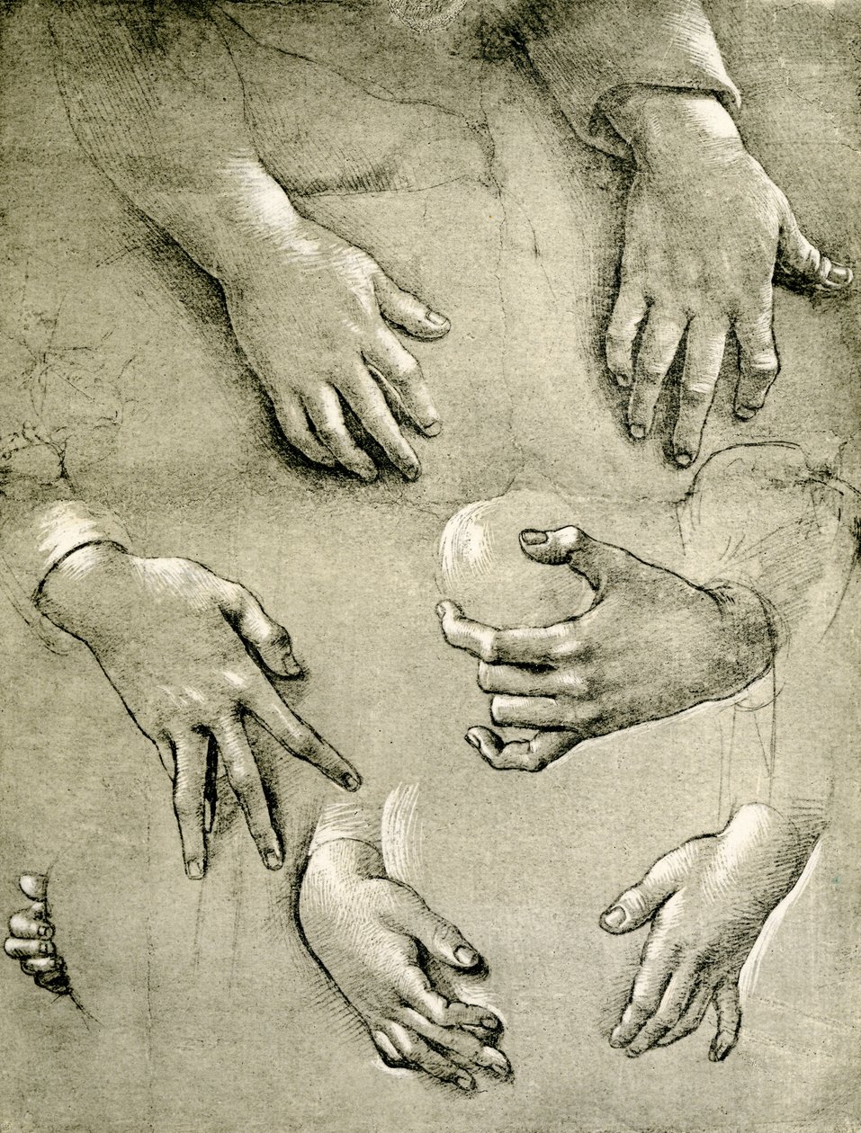 Hand studies to a Madonna by Raffaellino del Garbo