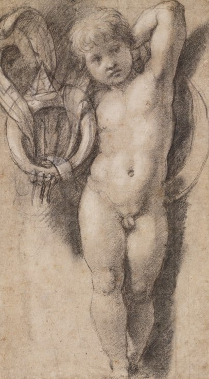 Putto with Medici Symbols by Raffaello Sanzio Raphael