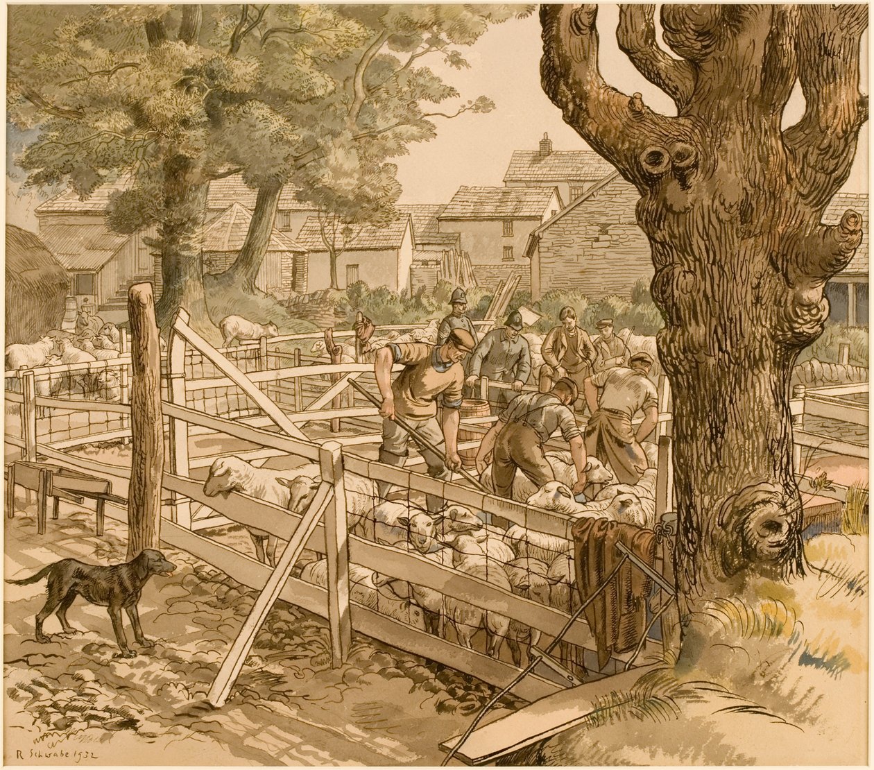 Sheep Dipping, Cornwall by Randolph Schwabe