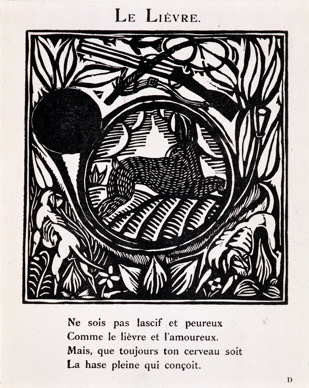 The Hare, in 