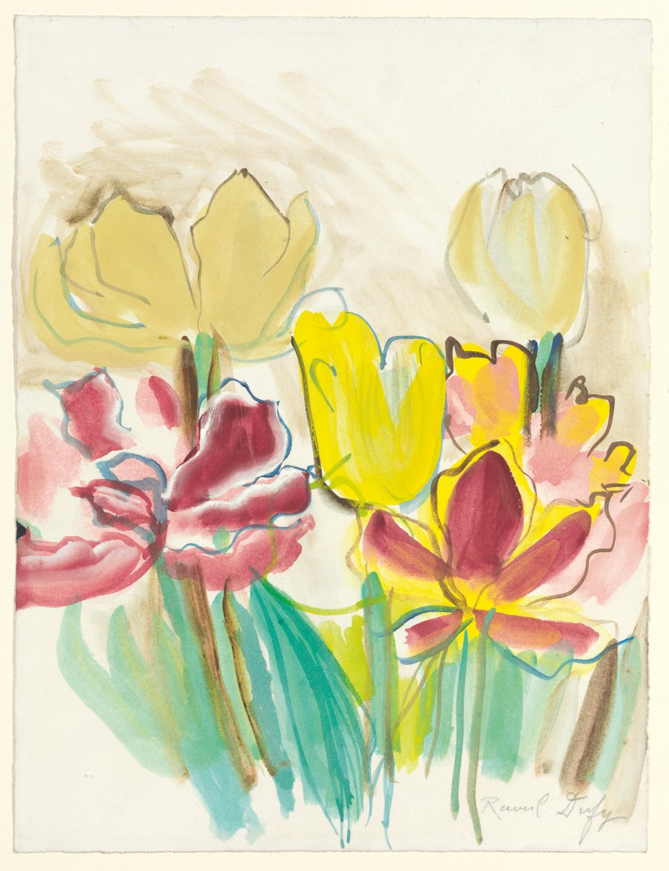 Tulips for Colette