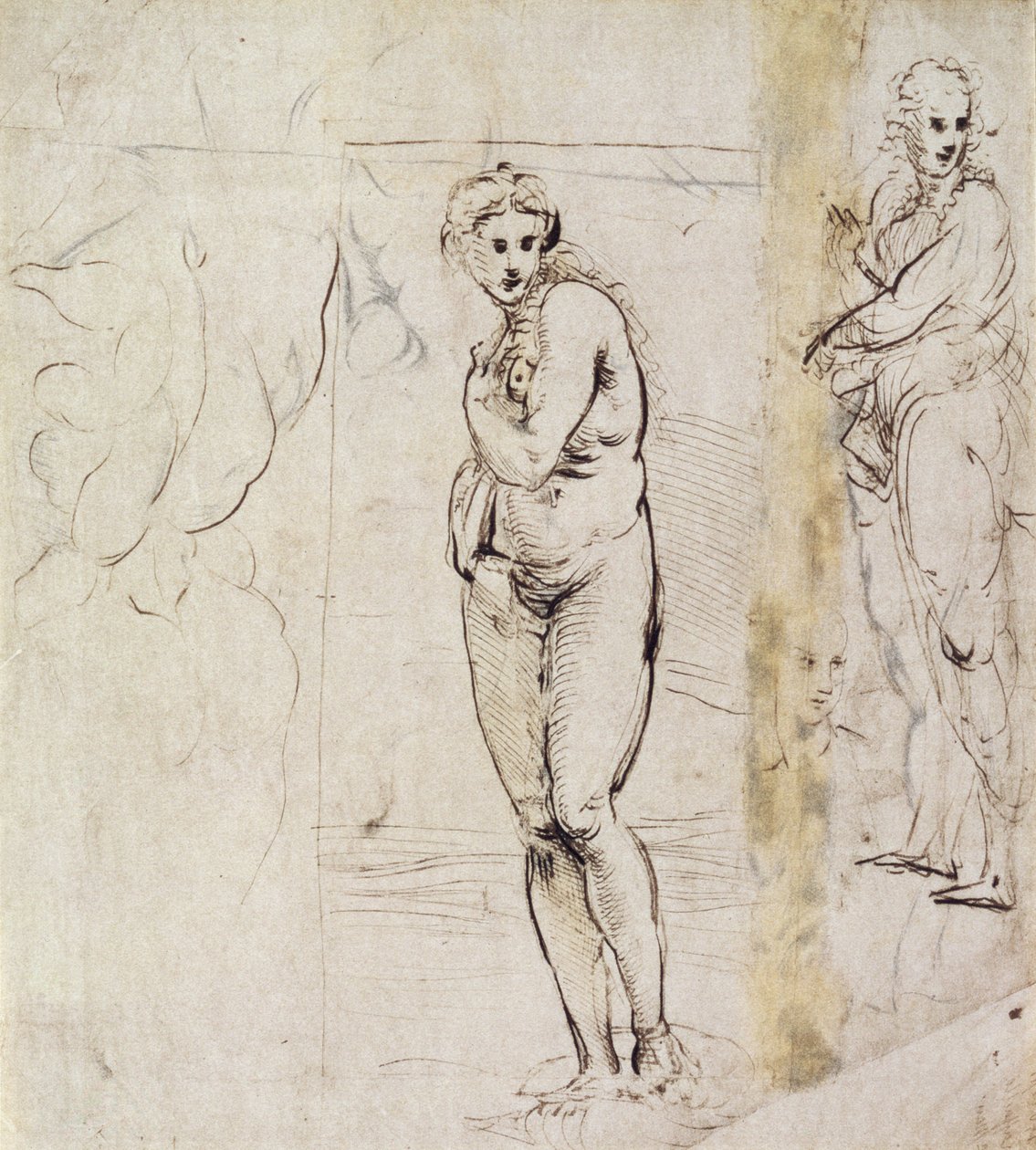 Study of Venus by Raffaello Sanzio Raphael
