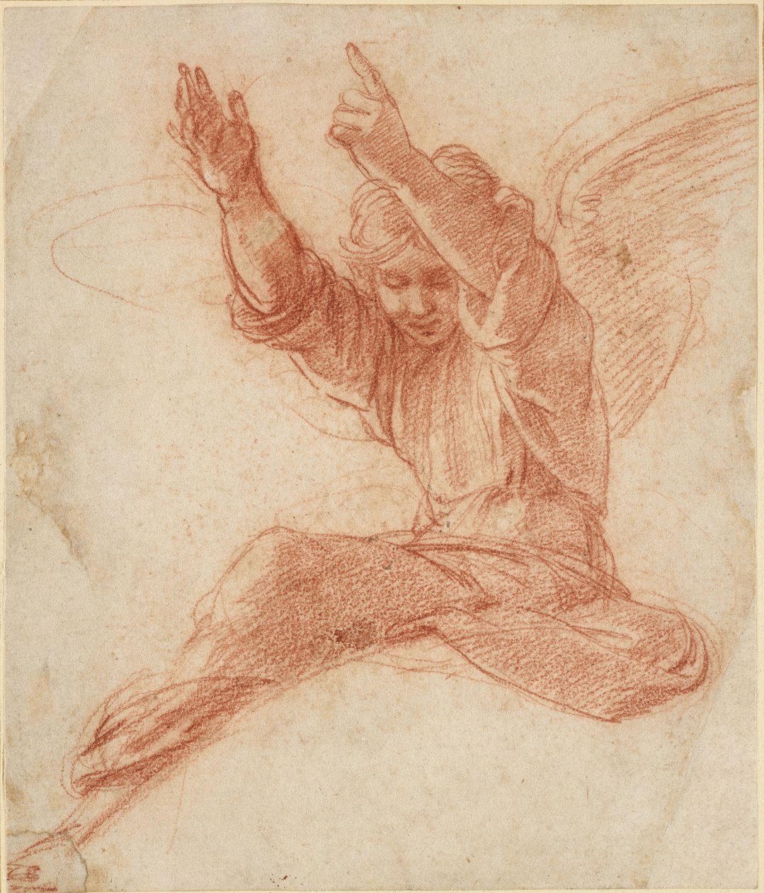 An Angel, WA1846.208 by Raffaello Sanzio Raphael
