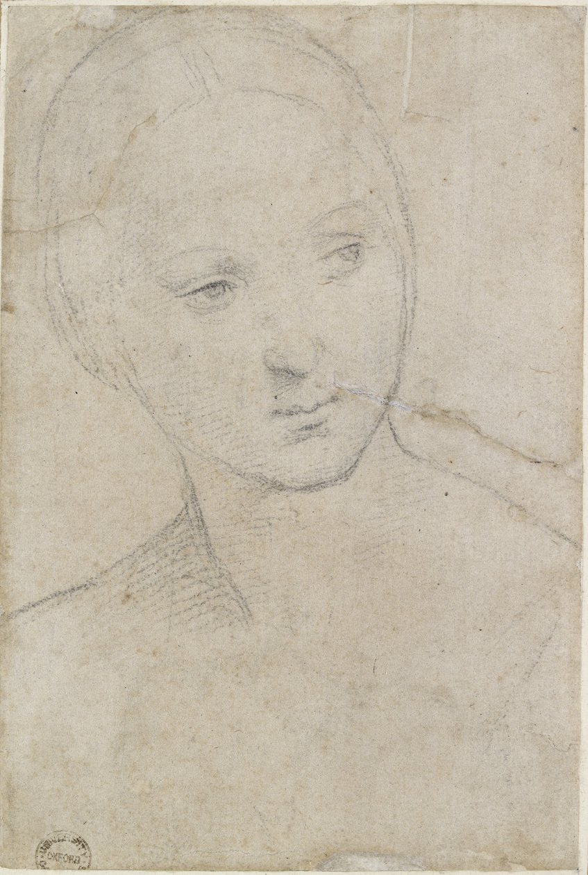 Study of the Head of a Young Woman by Raffaello Sanzio Raphael