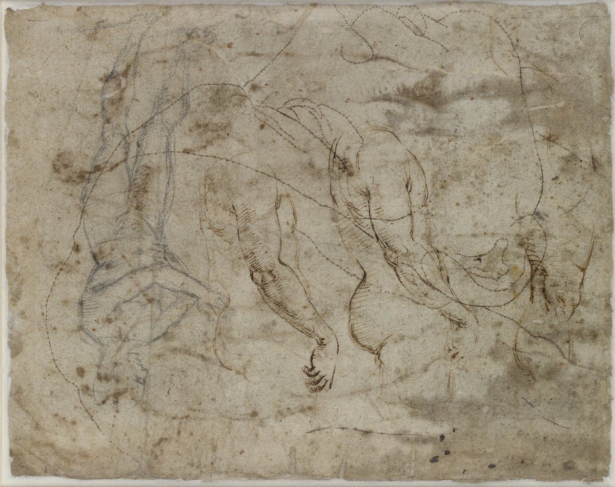 Two Studies of Arms, a Profile Looking Upwards and a Standing Figure by Raffaello Sanzio Raphael