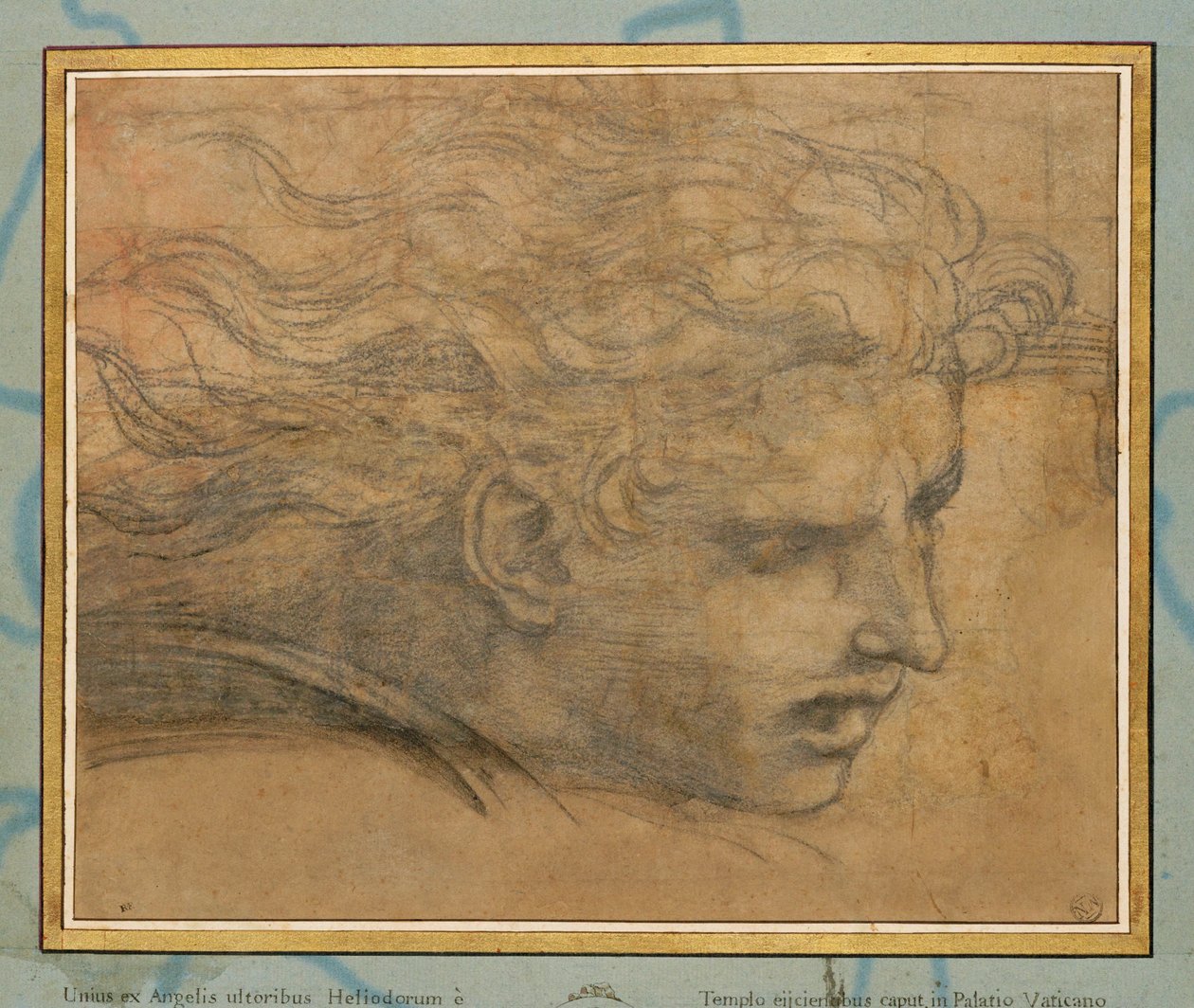 Head of a Young Man, Three Quarters Towards the Right by Raphael (1483 1520)
