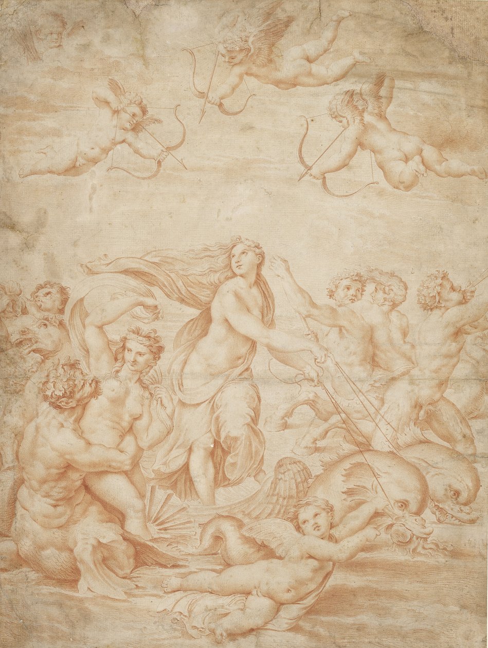 The Triumph of Galatea by after Raphael