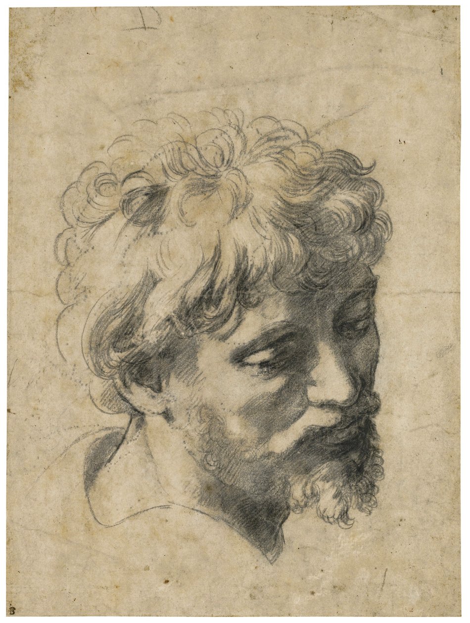 Portrait of young apostle by Raphael (Raffaello Sanzio) (1483-1520) by Raphael