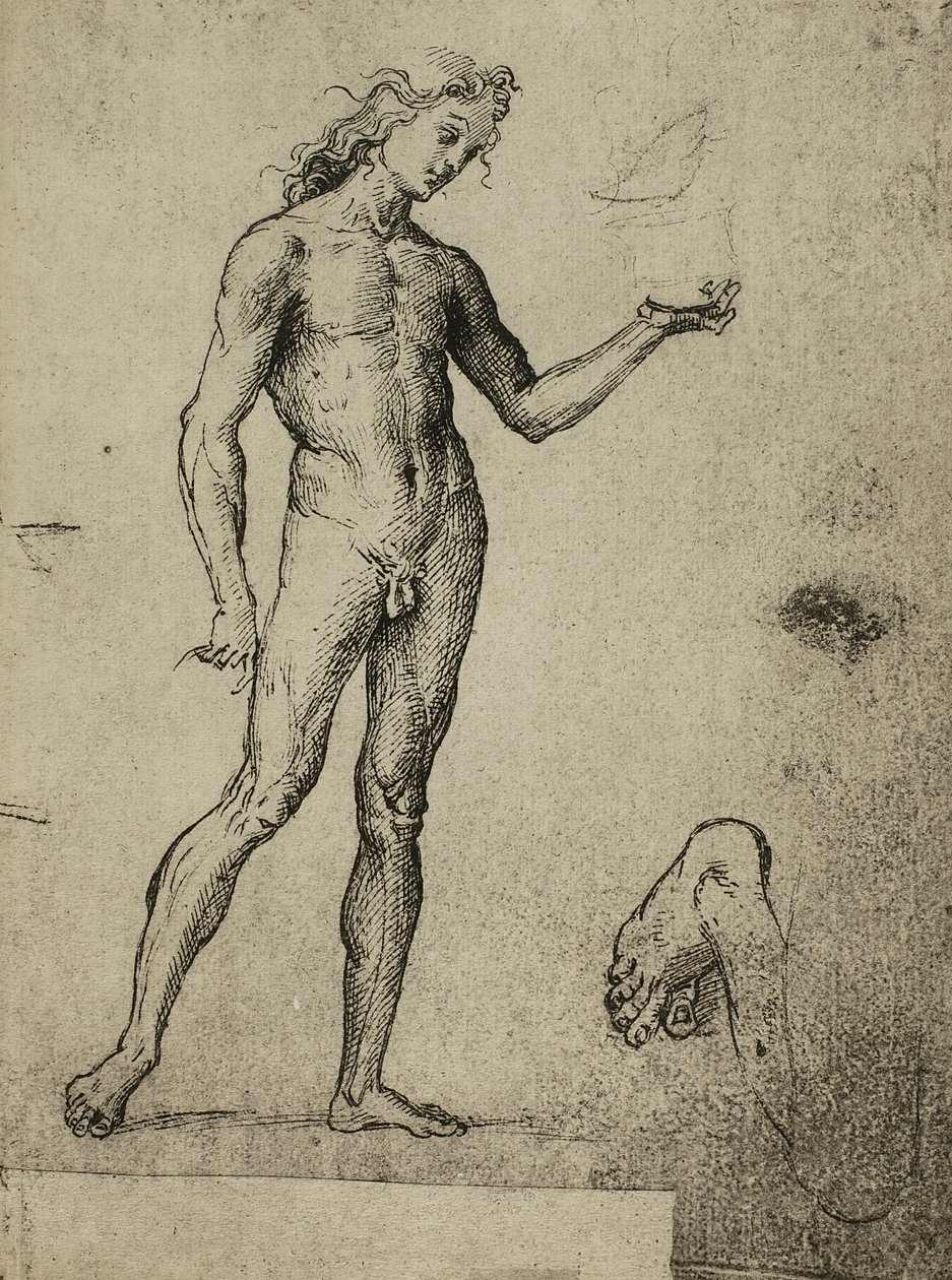 Male Nude Study by Raffaello Sanzio Raphael