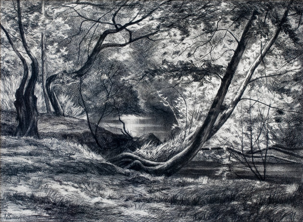 Undergrowth with River by Raymond Bonnefon