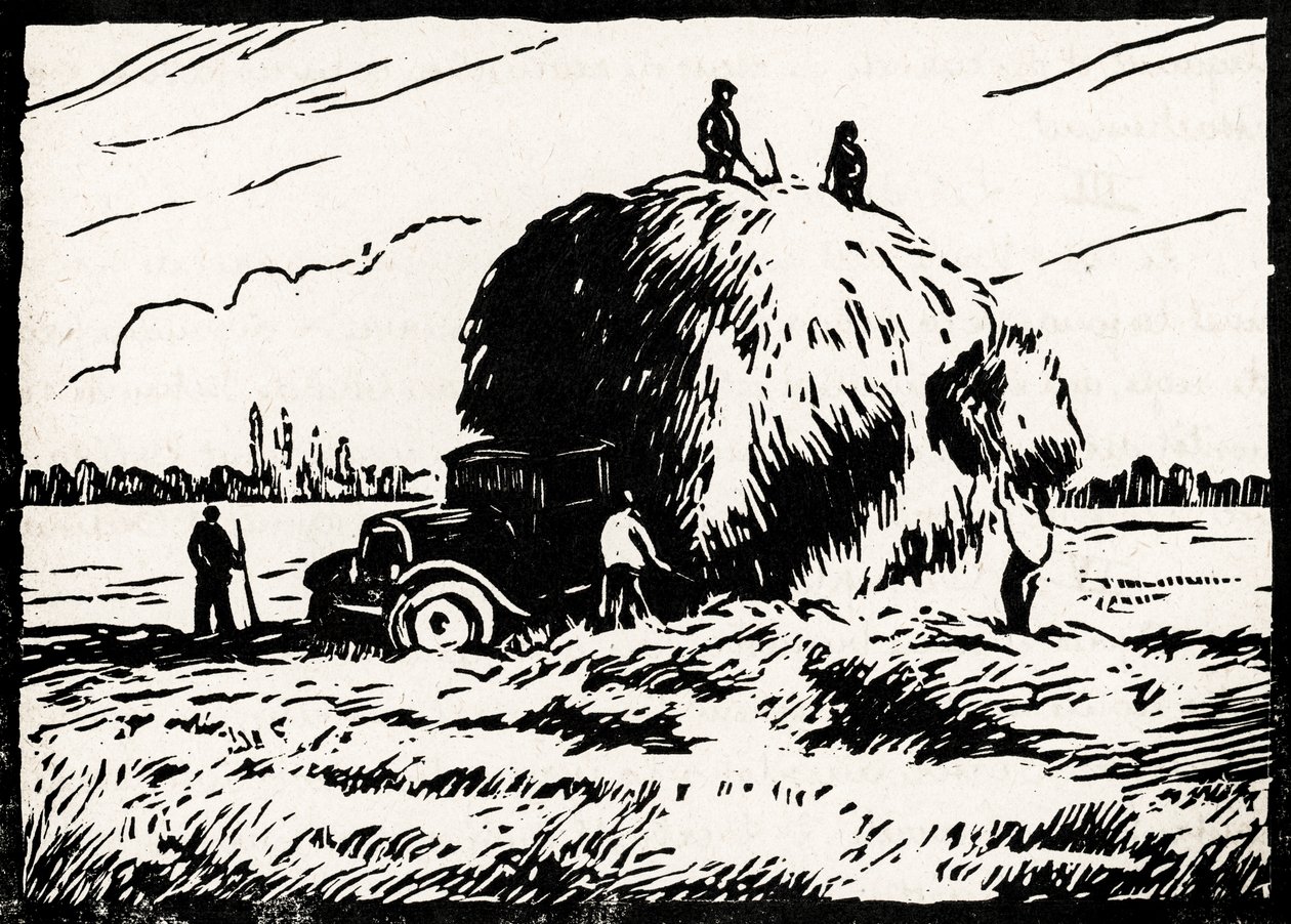 Hay Collection by Raymond Bonnefon