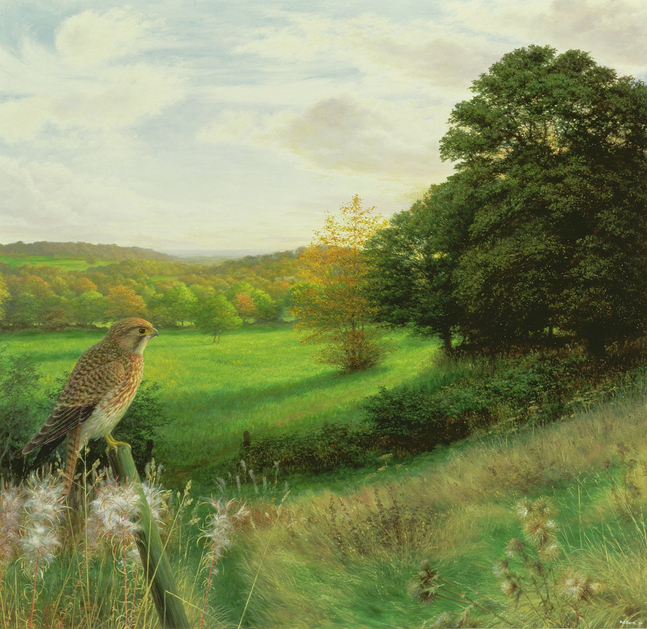 Kestrel on a Late September Evening by Raymond Booth