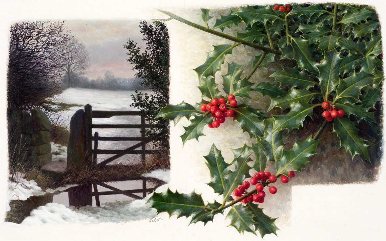 Midwinter thaw with holly by Raymond Booth