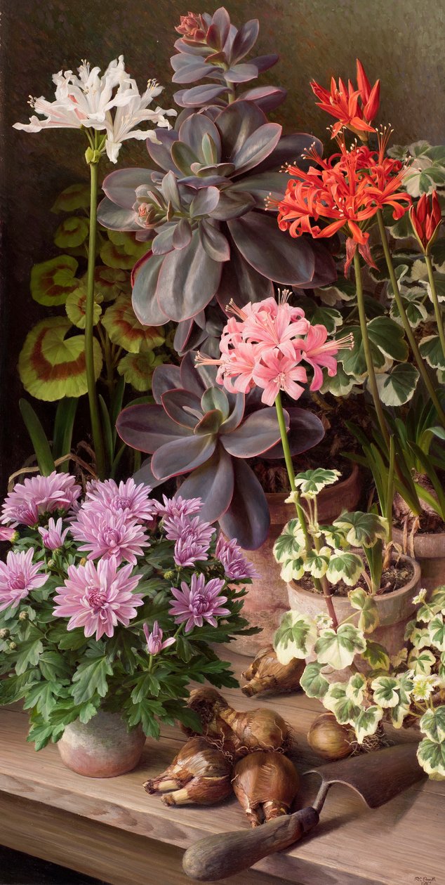 October flowers by Raymond Booth