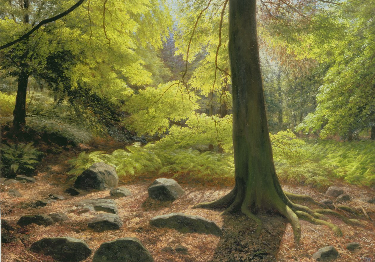 Spring Sunshine in Adel Woods by Raymond Booth