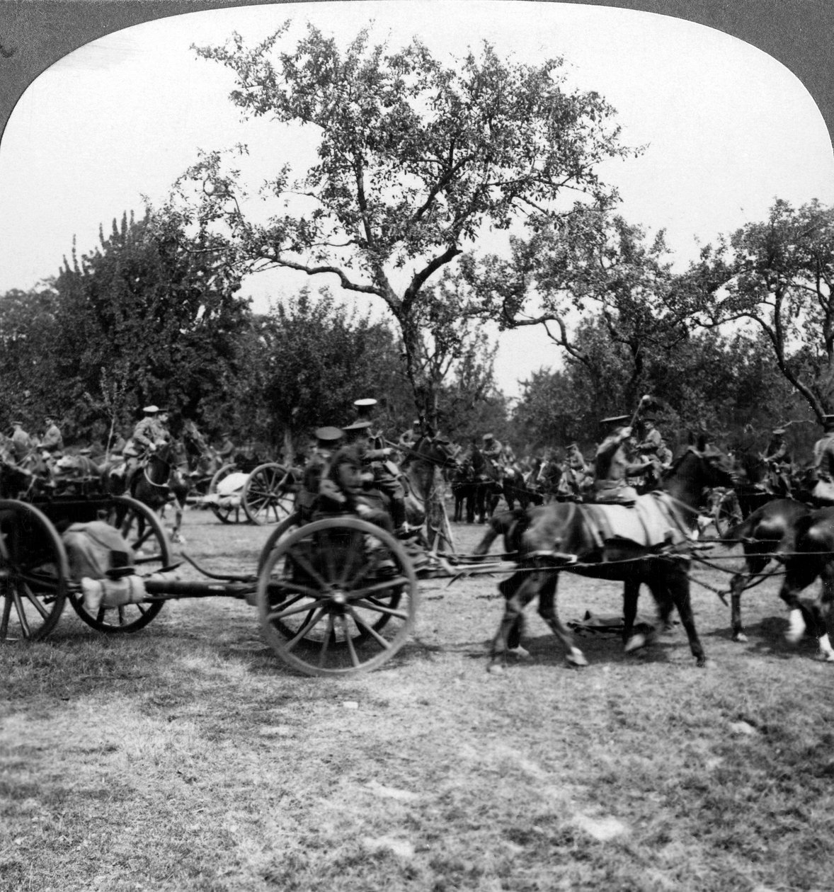 Horse-drawn artillery, World War I, 1914-1918 by Realistic Travels Publishers